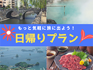 日帰りプラン